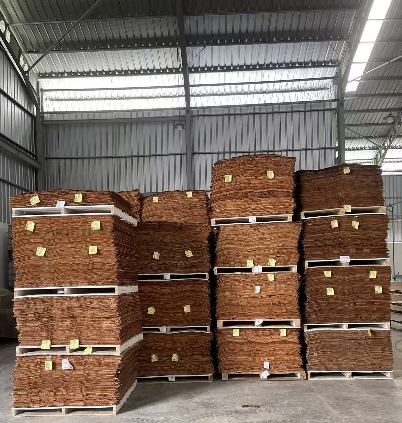 Raw mahoni material prepared for production