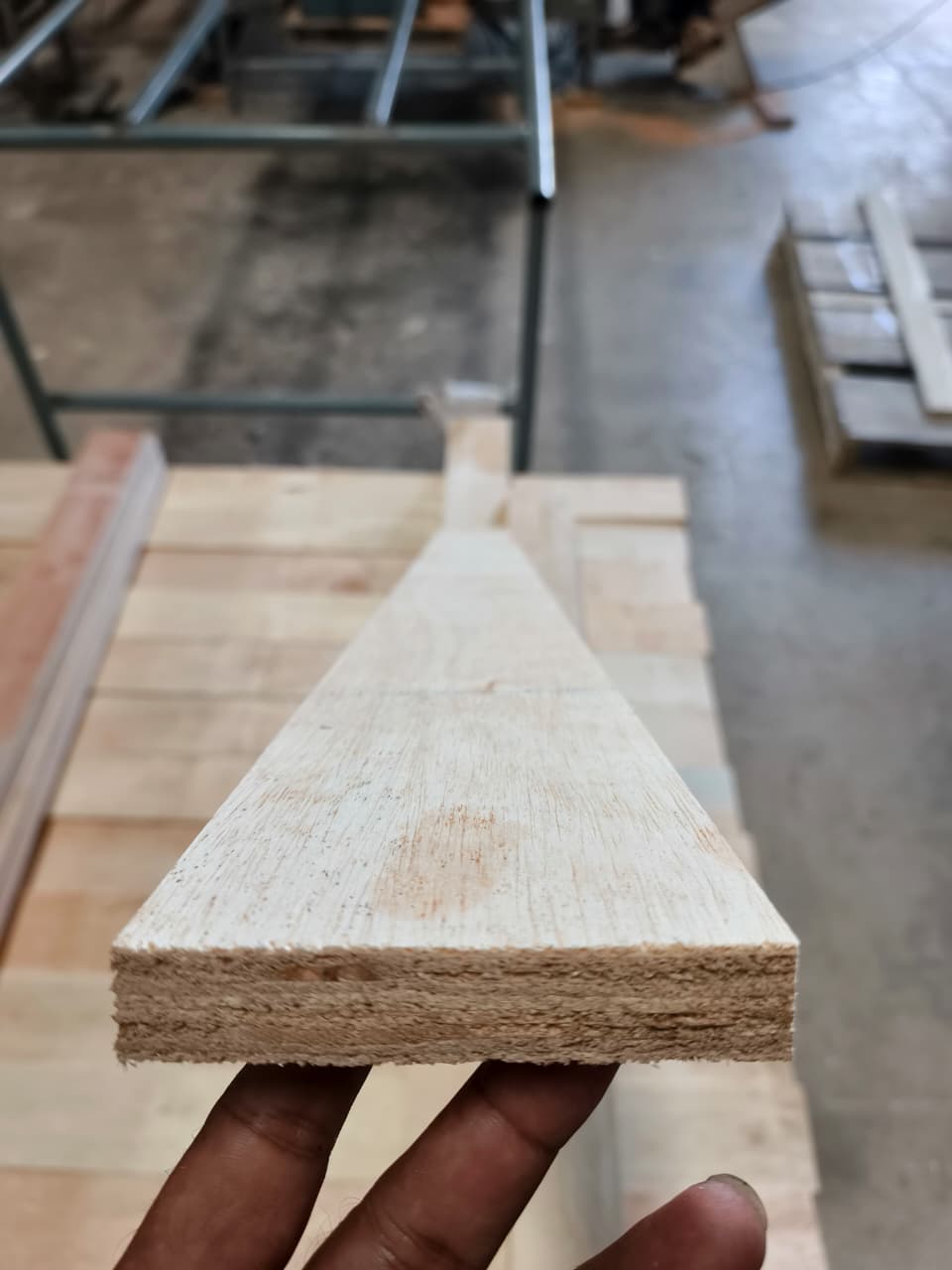 Raw LVL board held by hand